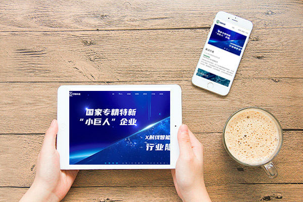 独立站兴起:企业如何自主掌控数字营销新阵地